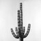 Cactus Poster Print by Atelier B Art Studio - Item # VARPDXBEGFLO197